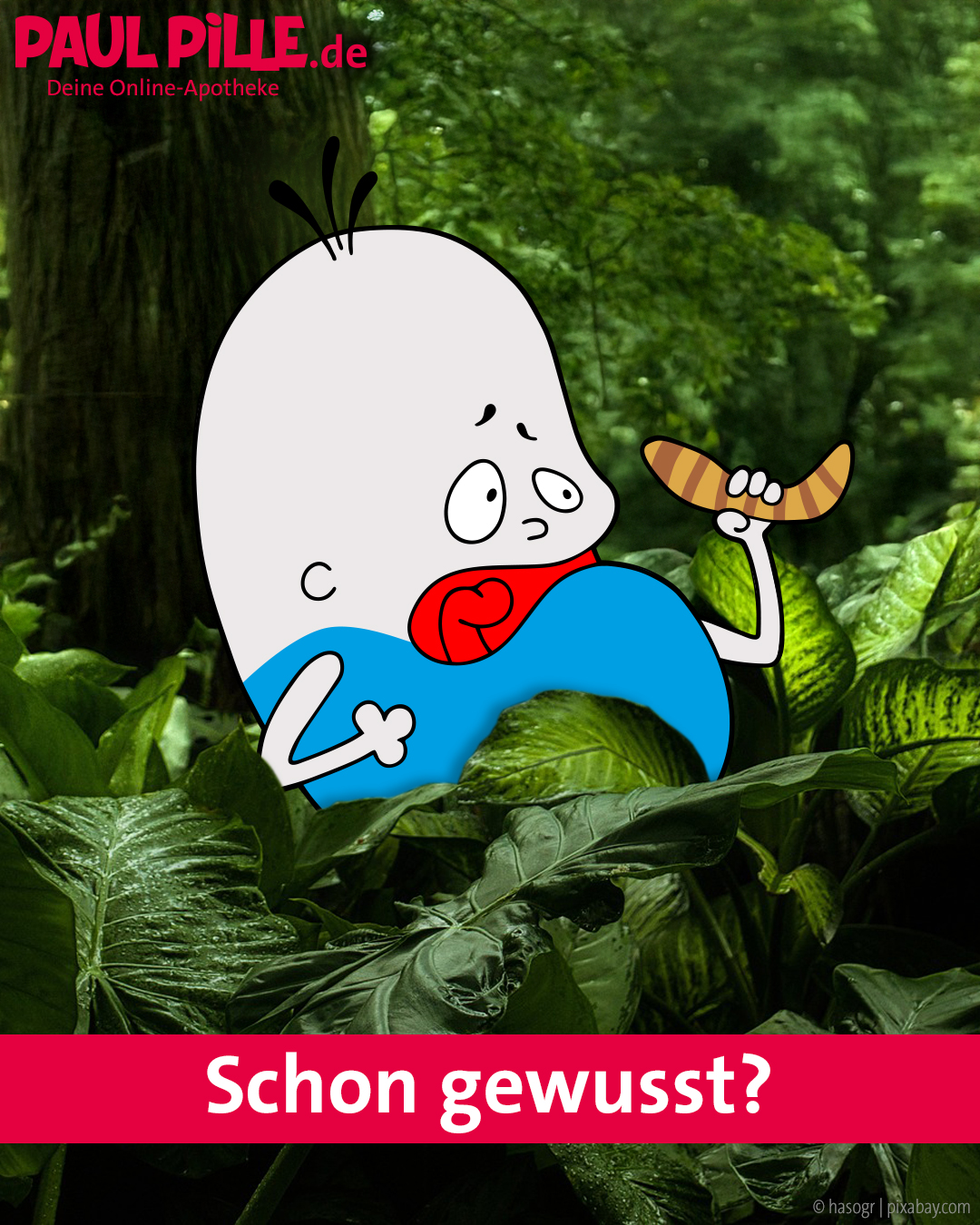 Mehlwürmer als Snack